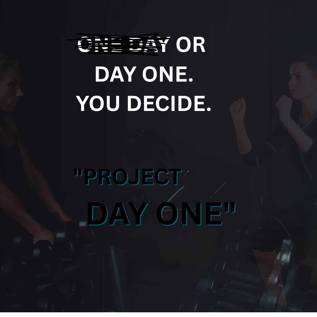 Project day One online modules